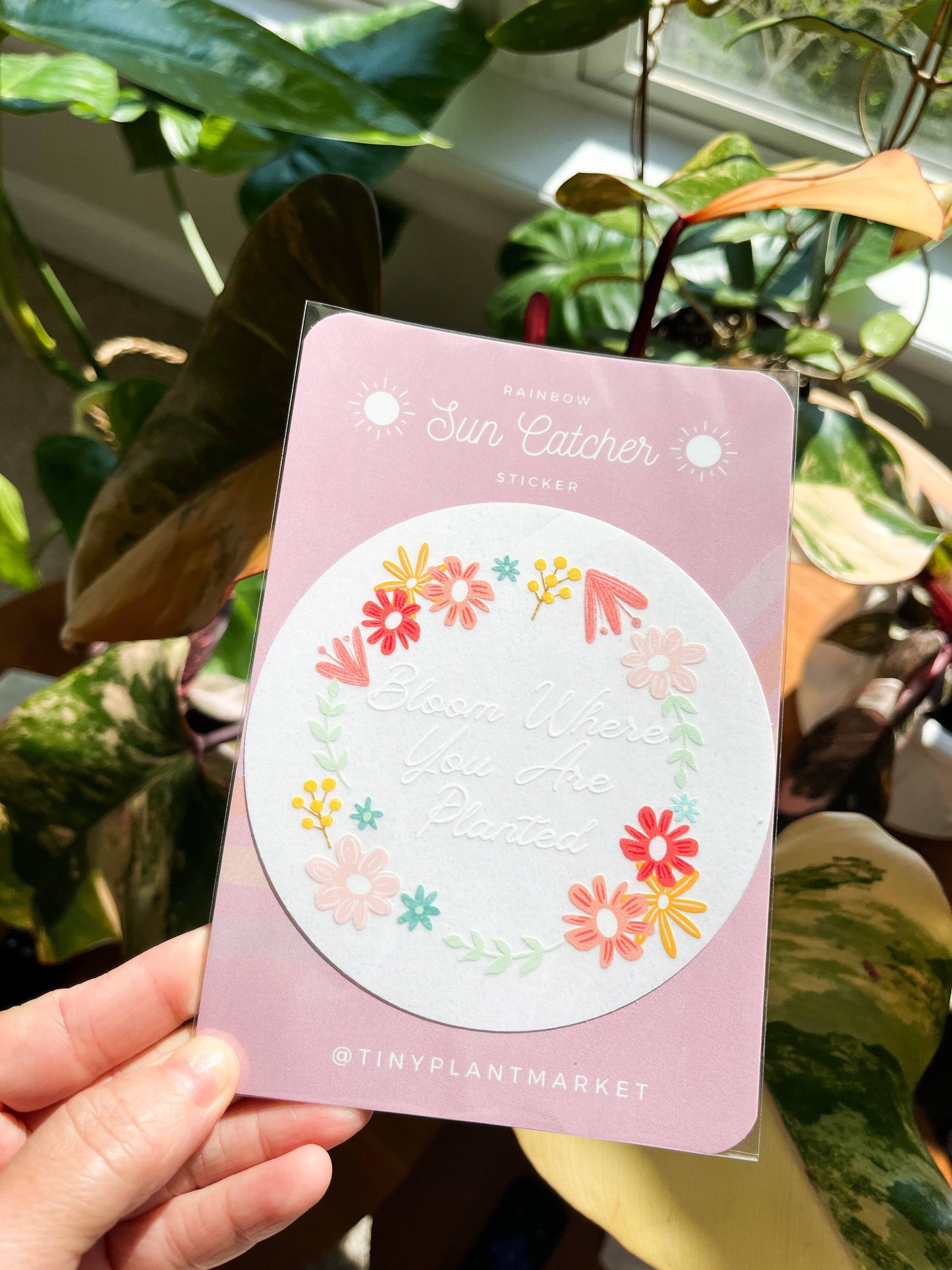 Bloom Where You Are Planted Sun Catcher Sticker Decal