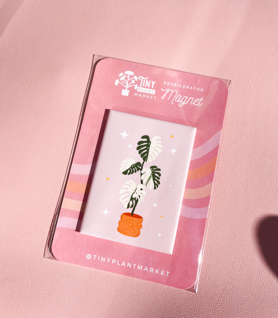Monstera Albo Plant Refrigerator Magnet