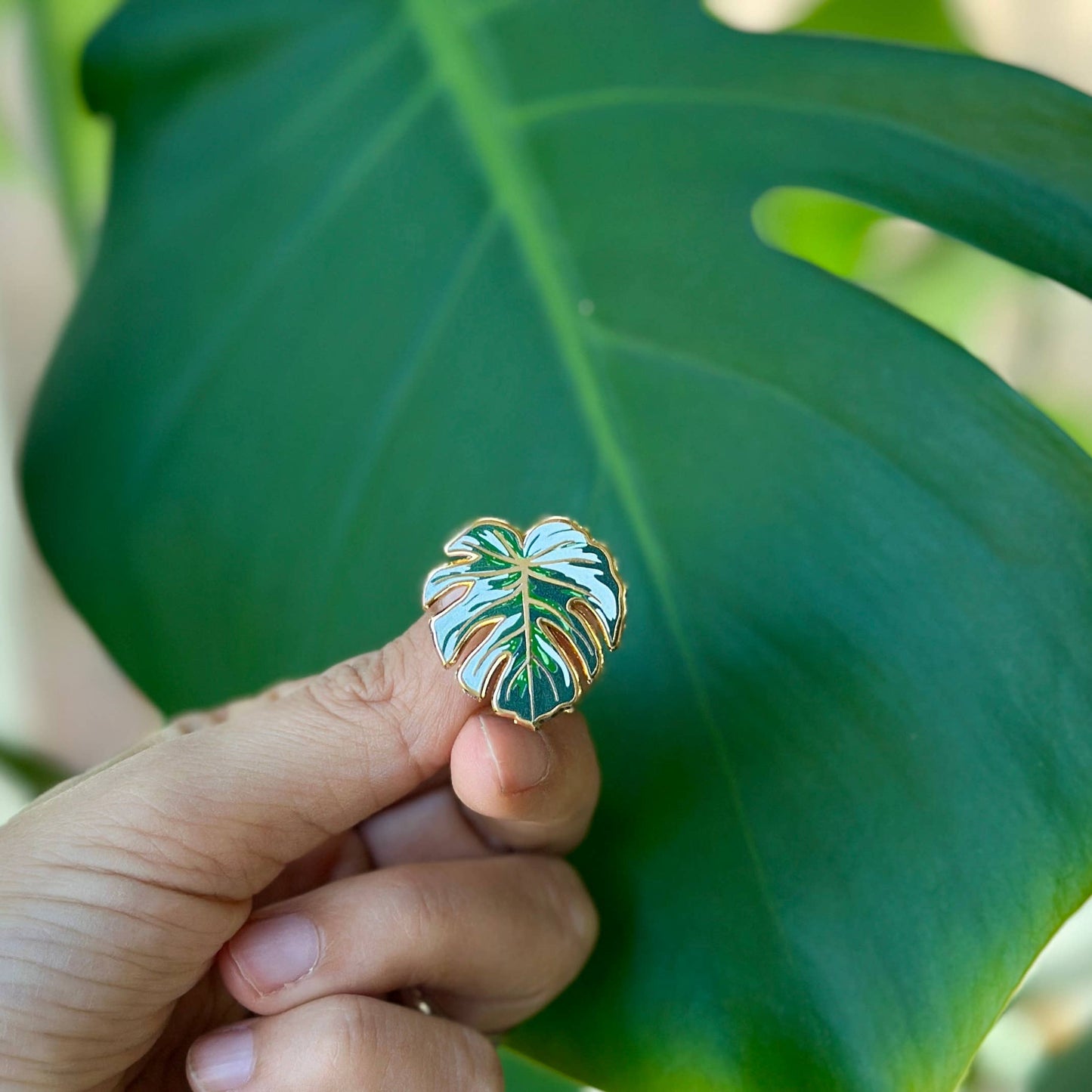 Monstera Variegated Leaf Enamel Pin | Plant Enamel Pin