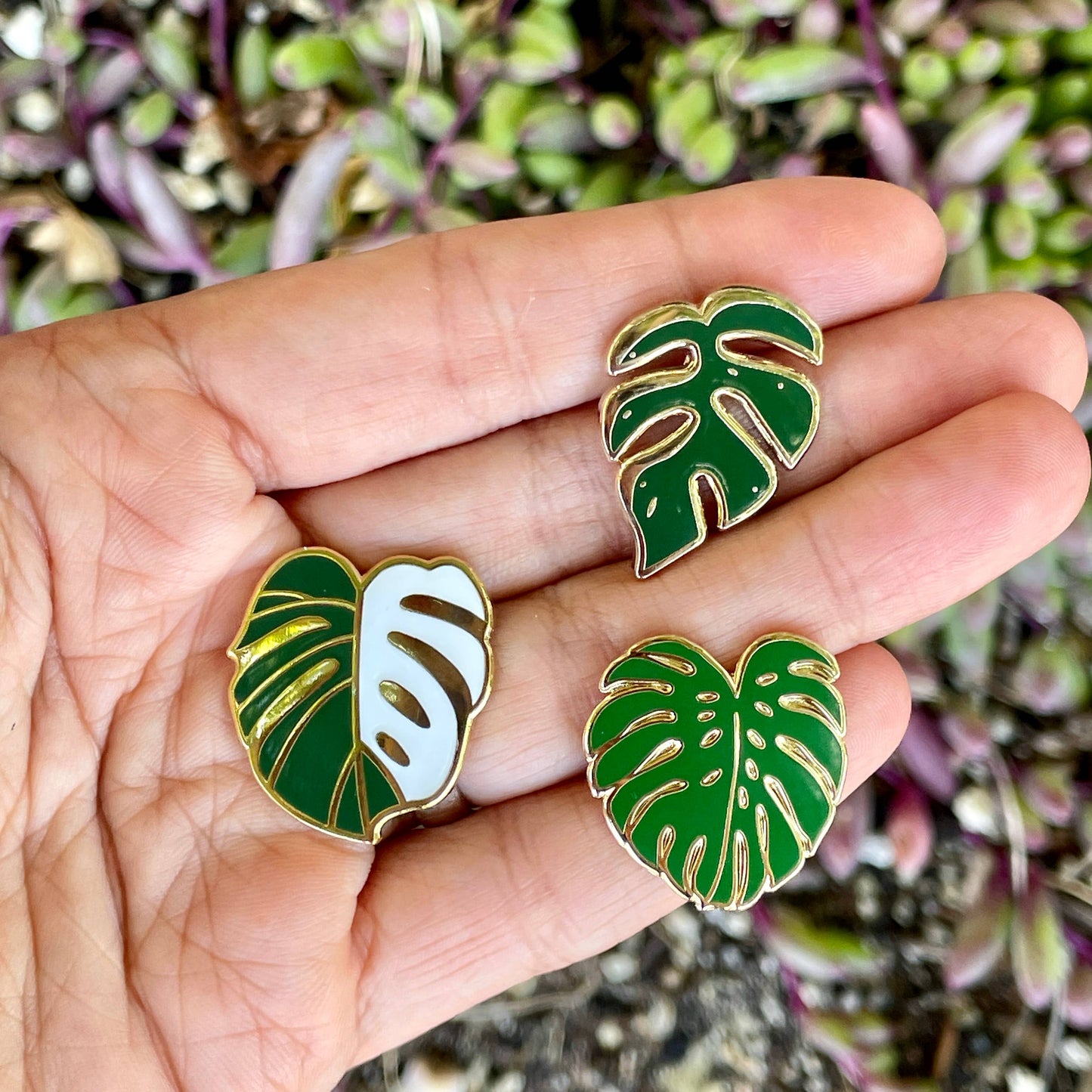 Monstera Plant Pin | Plant Enamel Pin