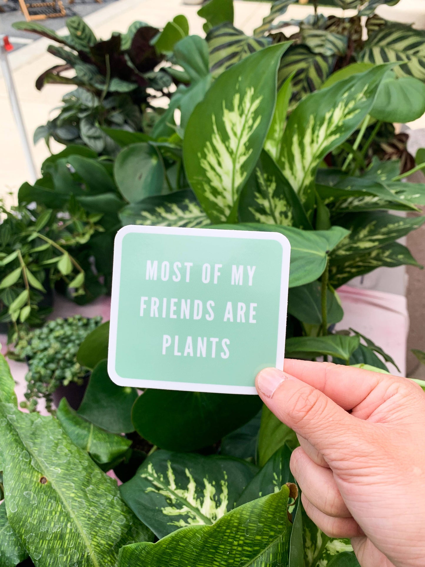 Most of My Friends Are Plants Sticker