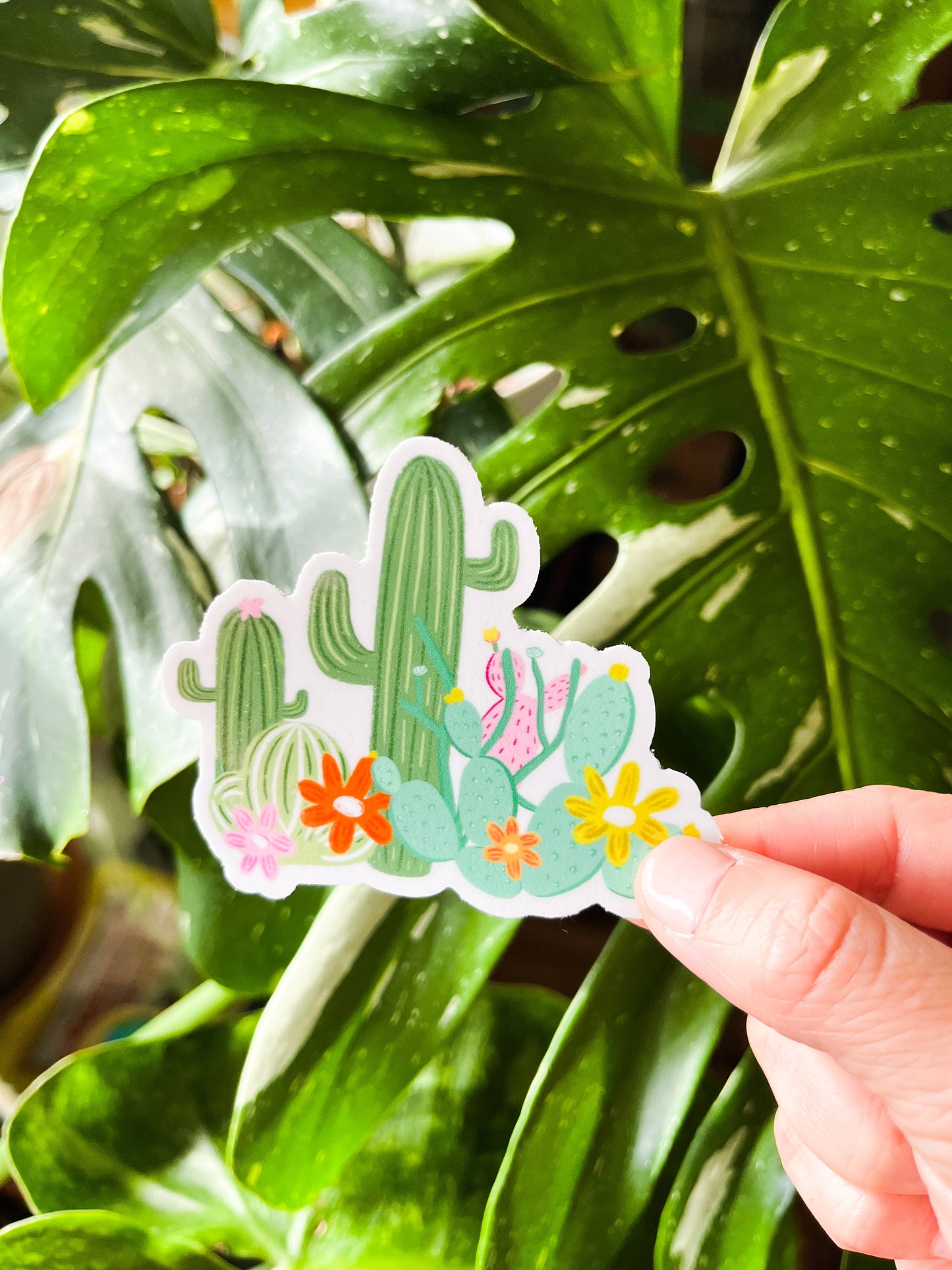 Cactus Garden Sticker