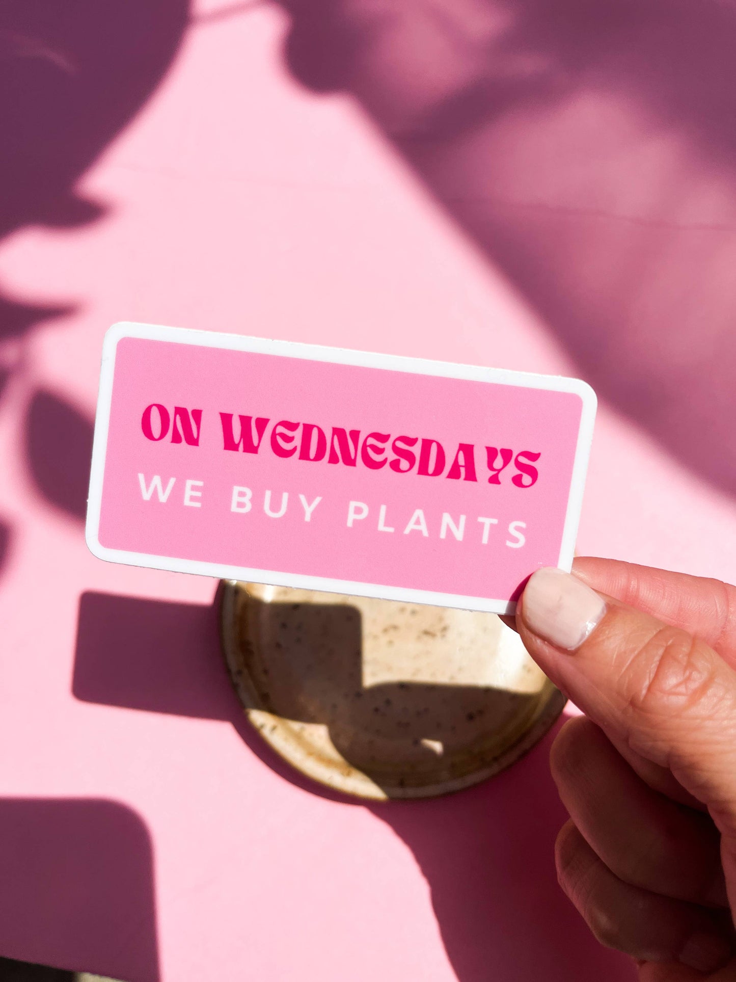 On Wednesdays We Buy Plants Sticker