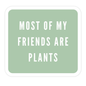 Most of My Friends Are Plants Sticker