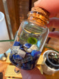 Marimo Moss Ball Buddy
