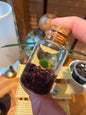 Marimo Moss Ball Buddy