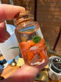 Marimo Moss Ball Buddy