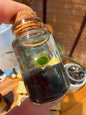 Marimo Moss Ball Buddy